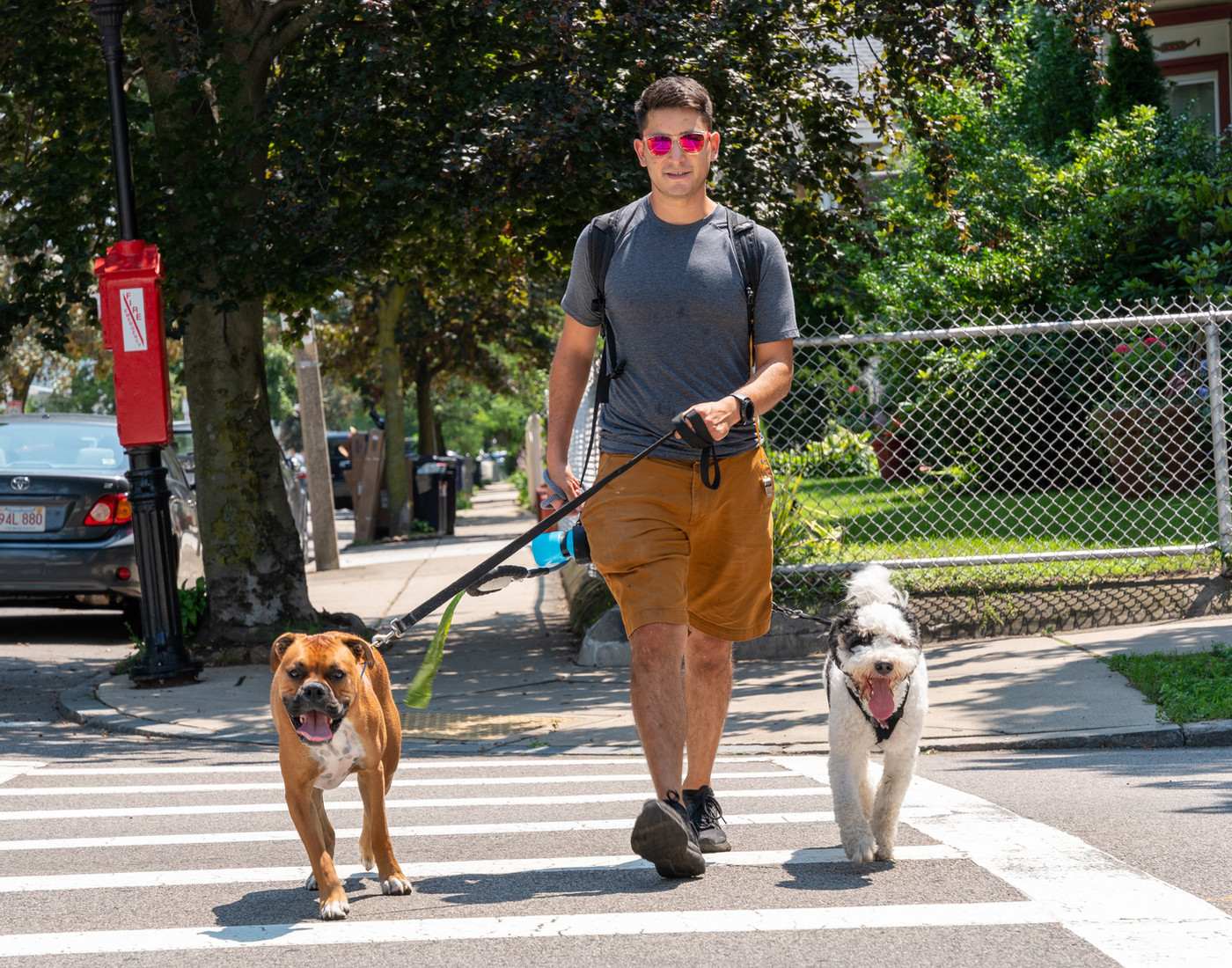 A MyDot.Dog walker crossing a Dorchester street with two happy dogs